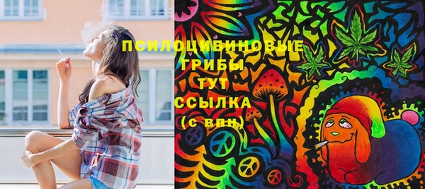 дживик Абинск