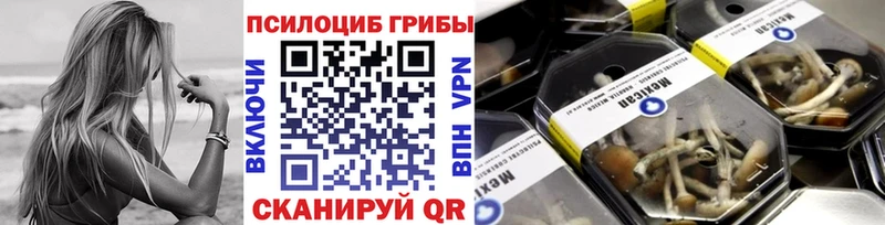цены   mega зеркало  Галлюциногенные грибы Cubensis  Сурск 