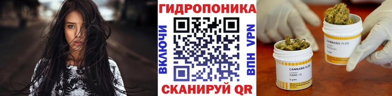 где купить наркоту Сурск Каннабис White Widow